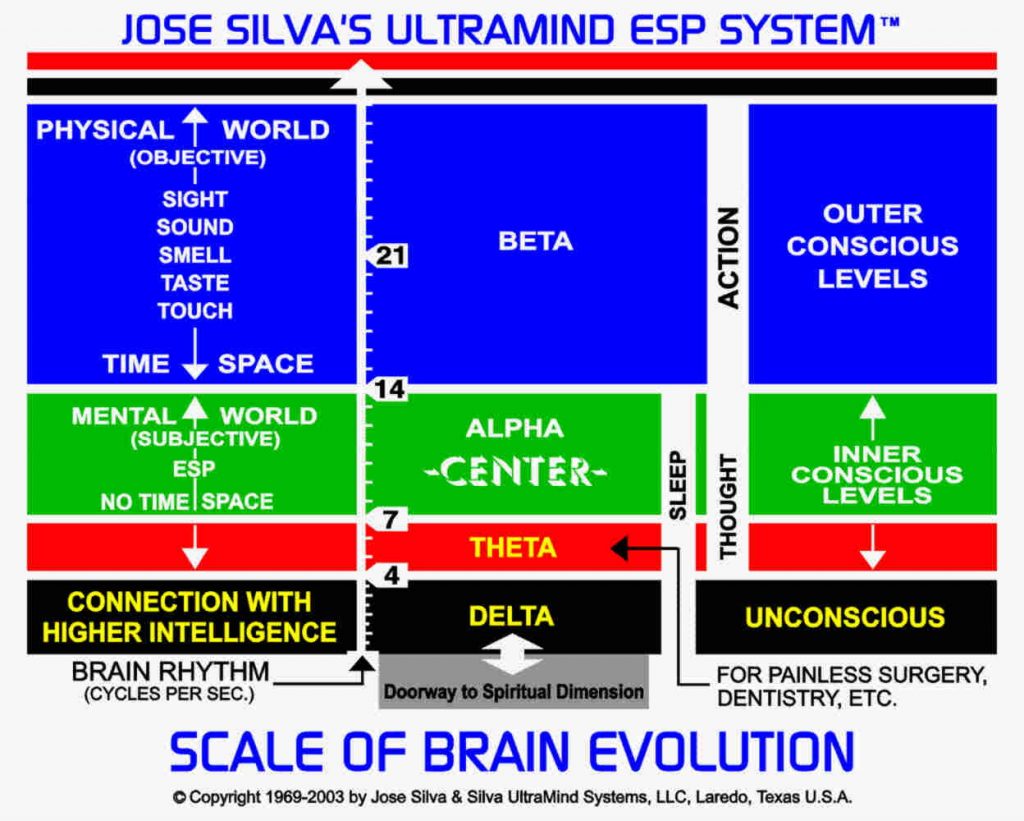 Scale of Brain Evolutiion